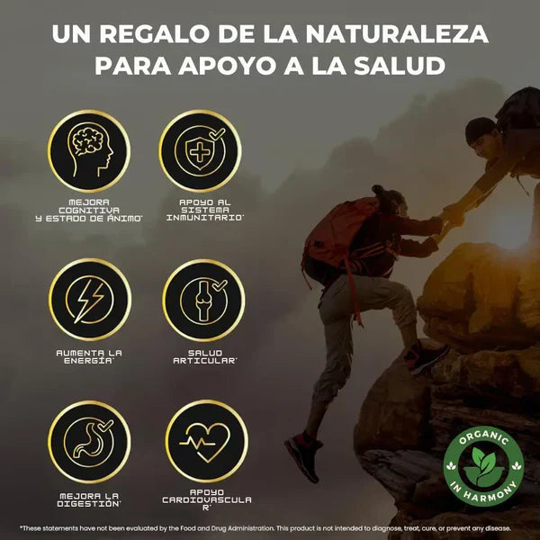 GOMAS SHILAJIT x 60 C/U+ eBook "Desata tu Testosterona, Guía practica" GRATIS