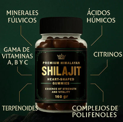 GOMAS SHILAJIT x 60 C/U+ eBook "Desata tu Testosterona, Guía practica" GRATIS